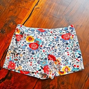🌻ADORABLE 🌻LOFT SHORTS🌻
